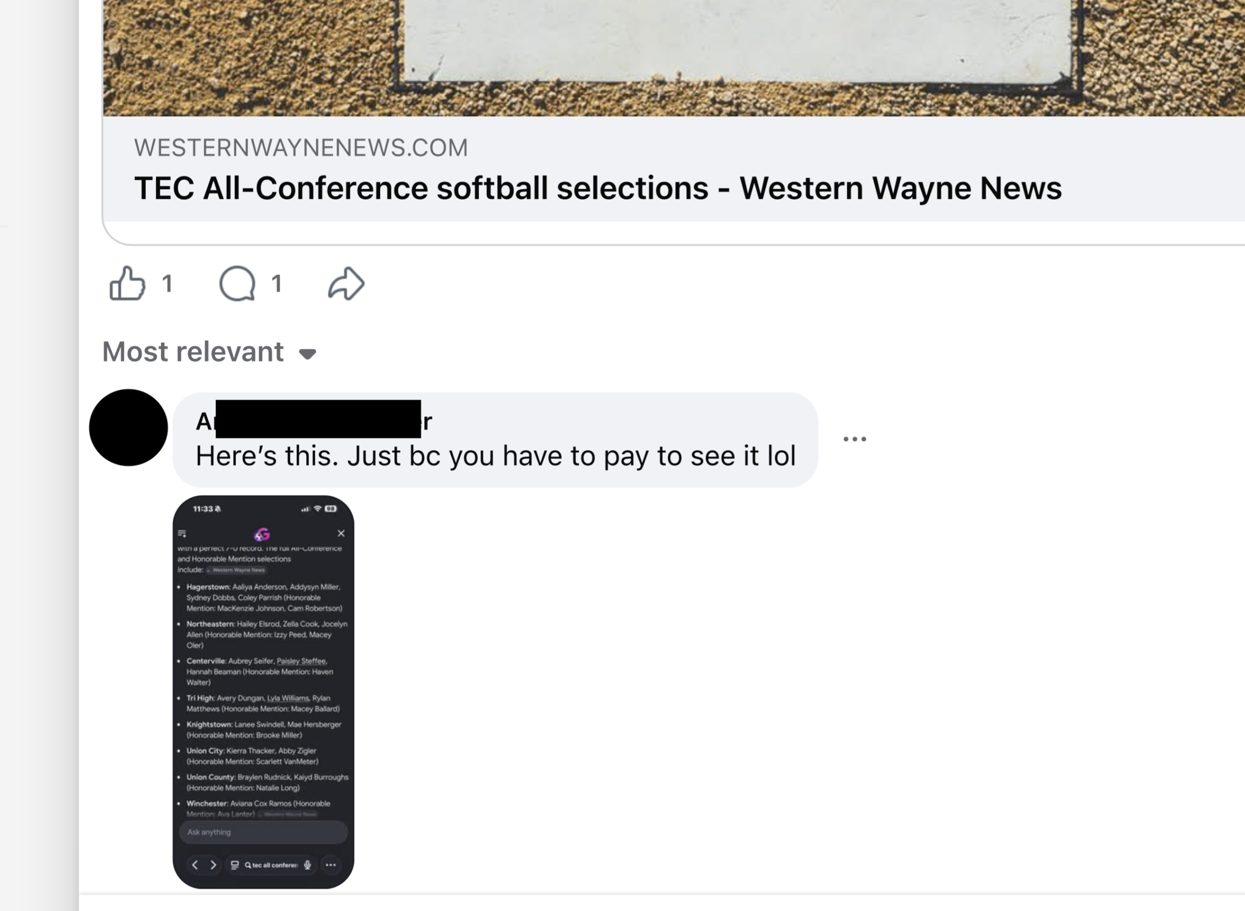 Facebook comment sharing a screenshot of a mobile phone browser showing a Google AI "summary" of a Western Wayne News news article